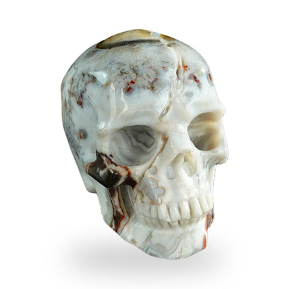 Red Crazy Lace Agate crystal skull 3" SKH30RC03 photo 3