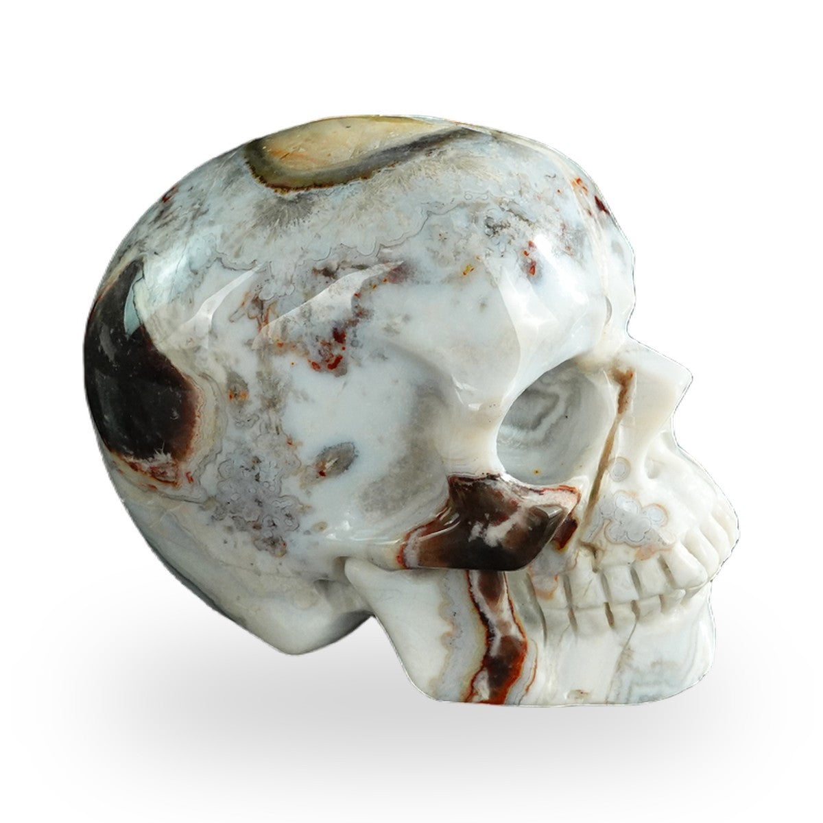 Red Crazy Lace Agate crystal skull 3" SKH30RC03 photo 5