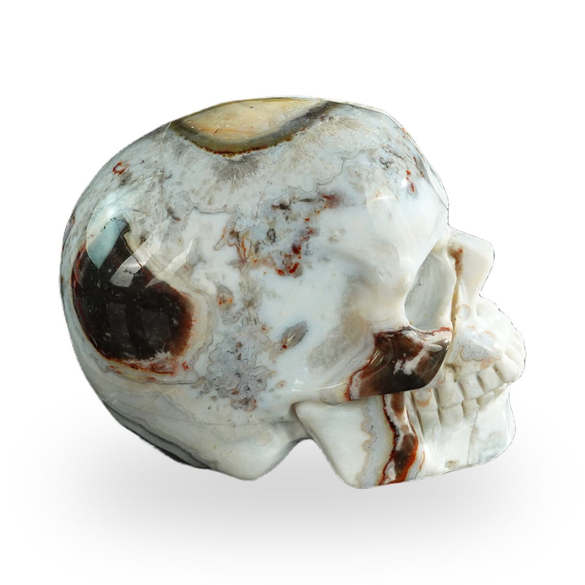 Red Crazy Lace Agate crystal skull 3" SKH30RC03 photo 6
