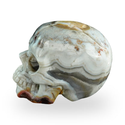 Red Crazy Lace Agate crystal skull 3" SKH30RC03 photo 7