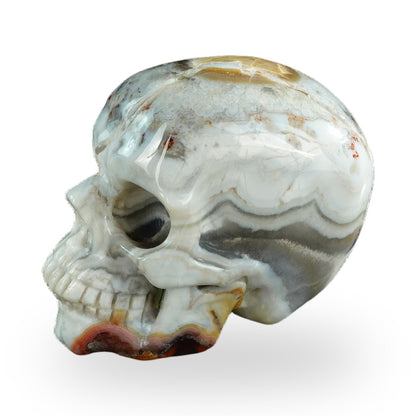 Red Crazy Lace Agate crystal skull 3" SKH30RC03 photo 8