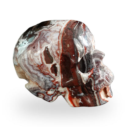 Red Crazy Lace Agate crystal skull 3" SKH30RC04 photo 4