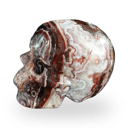 Red Crazy Lace Agate crystal skull 3" SKH30RC04 photo 6