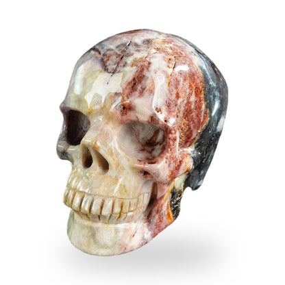 Red Crazy Lace Agate crystal skull 3" SKH30RC05 photo 8
