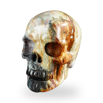 Red Crazy Lace Agate crystal skull 3" SKH30RC06 photo 3