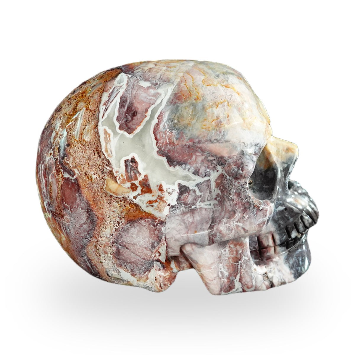 Red Crazy Lace Agate crystal skull 3" SKH30RC06 photo 6