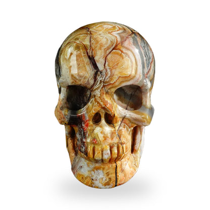 Red Crazy Lace Agate crystal skull 3" SKH30RC07 photo 1