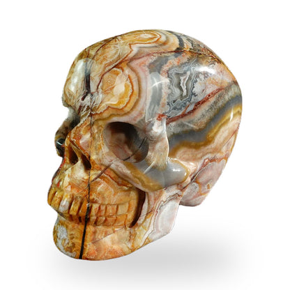 Red Crazy Lace Agate crystal skull 3" SKH30RC07 photo 2