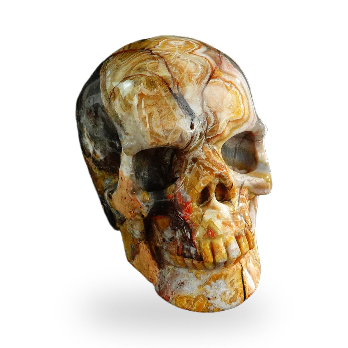 Red Crazy Lace Agate crystal skull 3" SKH30RC07 photo 3