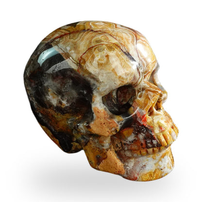 Red Crazy Lace Agate crystal skull 3" SKH30RC07 photo 4
