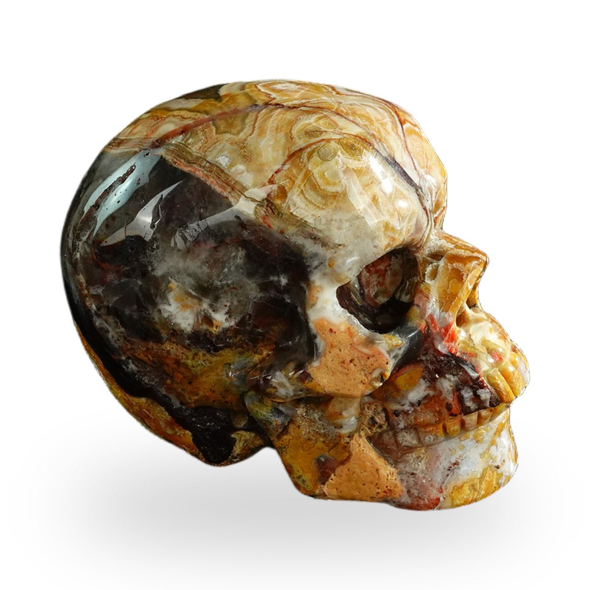 Red Crazy Lace Agate crystal skull 3" SKH30RC07 photo 5