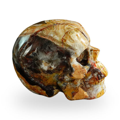 Red Crazy Lace Agate crystal skull 3" SKH30RC07 photo 6