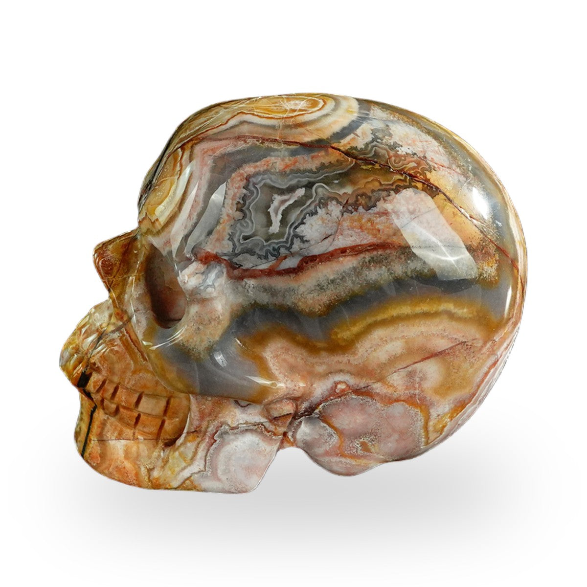 Red Crazy Lace Agate crystal skull 3" SKH30RC07 photo 7