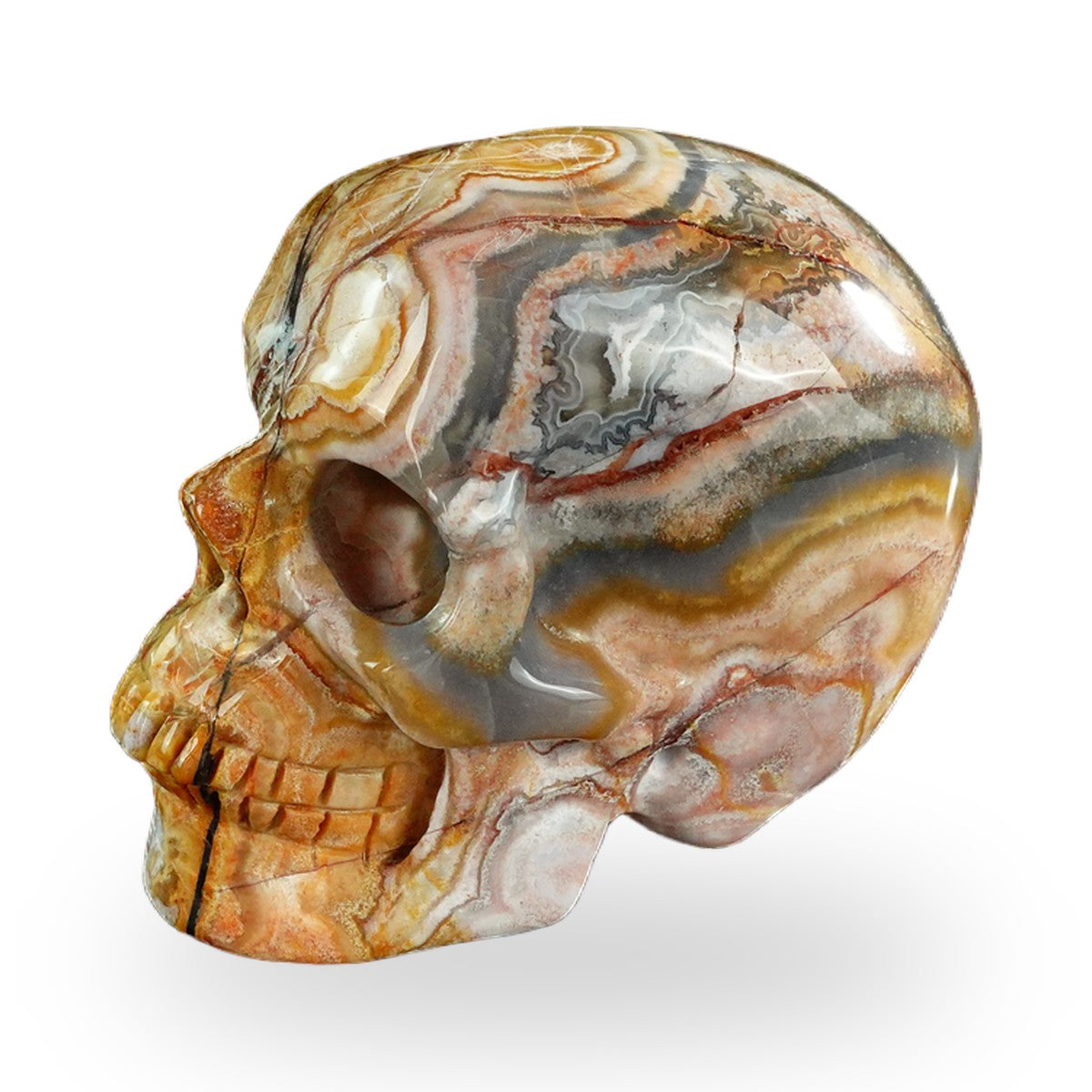 Red Crazy Lace Agate crystal skull 3" SKH30RC07 photo 8
