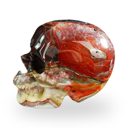 Red Crazy Lace Agate crystal skull 3" SKH30RC08 photo 5