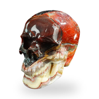 Red Crazy Lace Agate crystal skull 3" SKH30RC08 photo 7