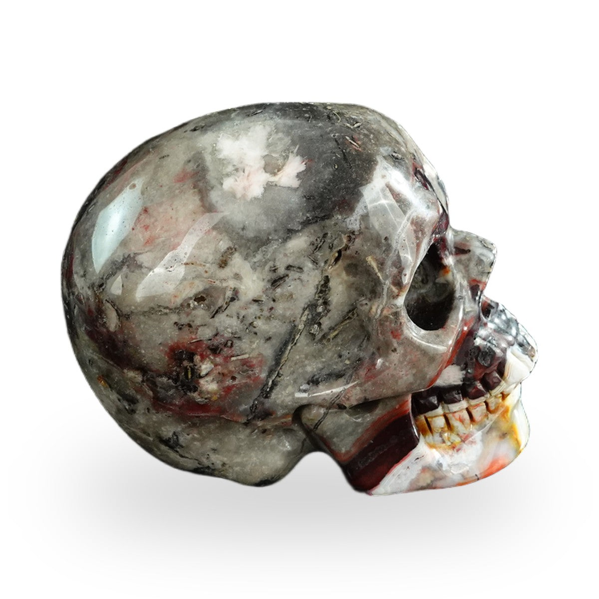 Red Crazy Lace Agate crystal skull 3" SKH30RC10 photo 5