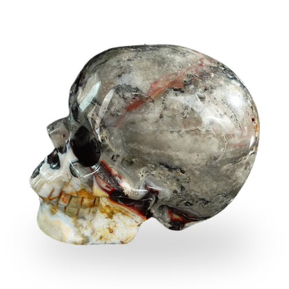 Red Crazy Lace Agate crystal skull 3" SKH30RC10 photo 6