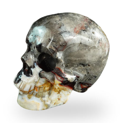 Red Crazy Lace Agate crystal skull 3" SKH30RC10 photo 7