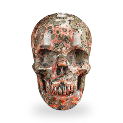 Red Leopard Skin Jasper crystal skull 2.2" SKH20LS01 hand carved gemstone
