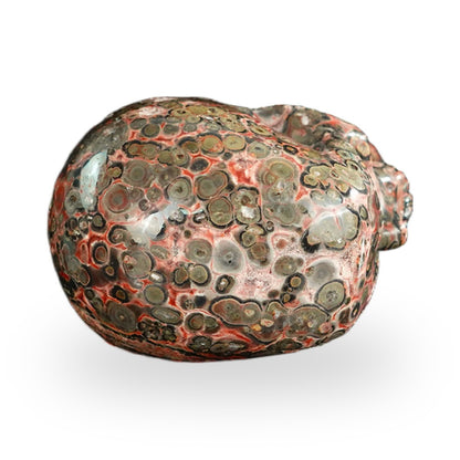 Red Leopard Skin Jasper crystal skull 2.2" SKH20LS01 view 7