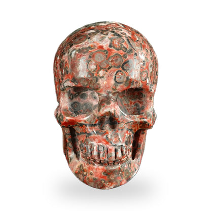 Red Leopard Skin Jasper crystal skull 2.2" SKH20LS02 photo 1