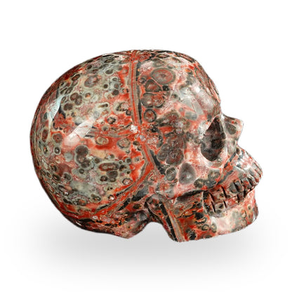 Red Leopard Skin Jasper crystal skull 2.2" SKH20LS02 photo 4