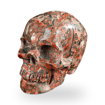 Red Leopard Skin Jasper crystal skull 2.2" SKH20LS02 photo 7