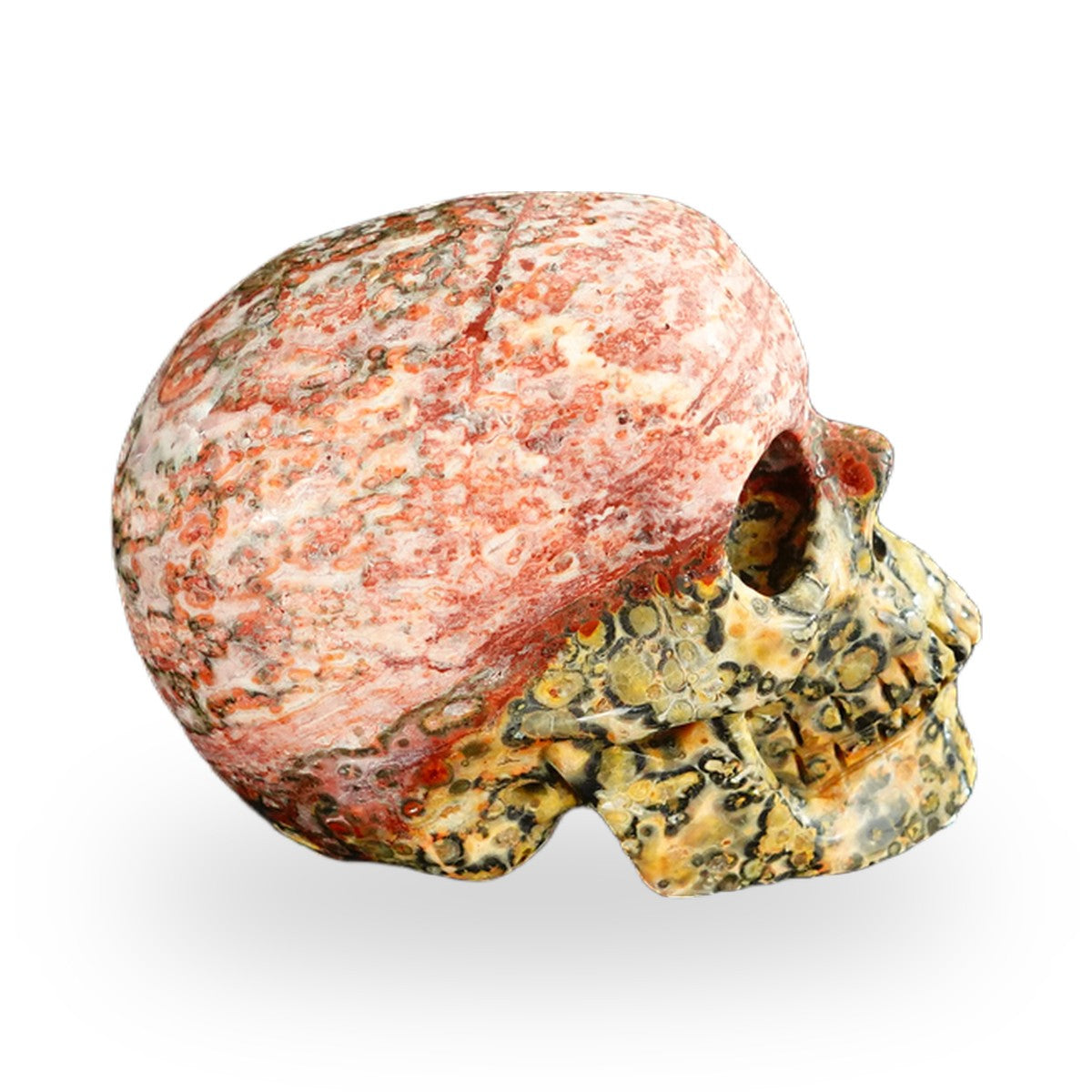Red Leopard Skin Jasper crystal skull 2.2" SKH20LS03 photo 3