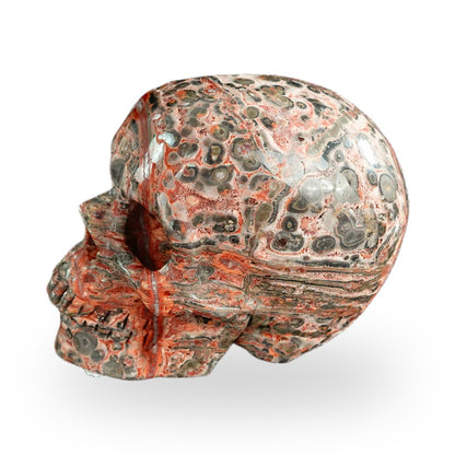 Red Leopard Skin Jasper crystal skull 2.2" SKH20LS05 photo 5