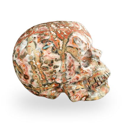 Red Leopard Skin Jasper crystal skull 2.2" SKH20LS06 photo 3