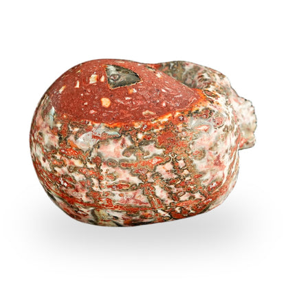 Red Leopard Skin Jasper crystal skull 2.2" SKH20LS06 photo 7