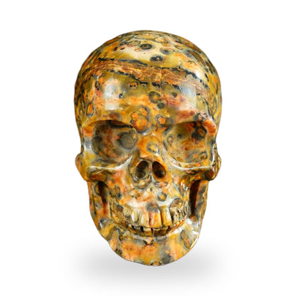 Red Leopard Skin Jasper crystal skull 2.2" SKH20LS09 photo 1