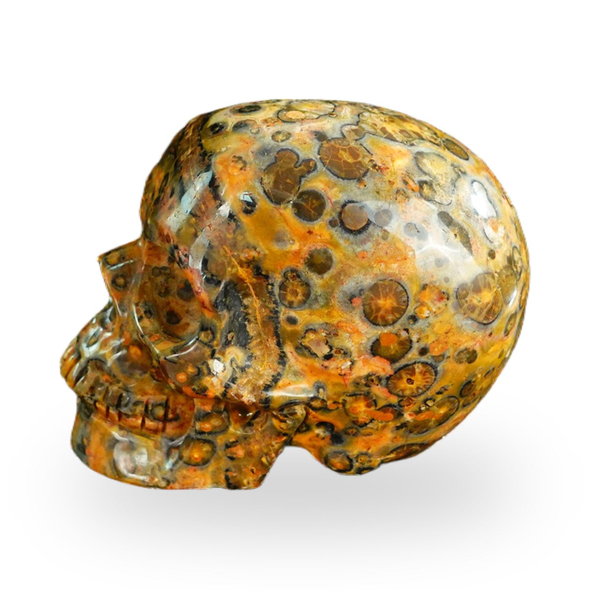 Red Leopard Skin Jasper crystal skull 2.2" SKH20LS09 photo 5