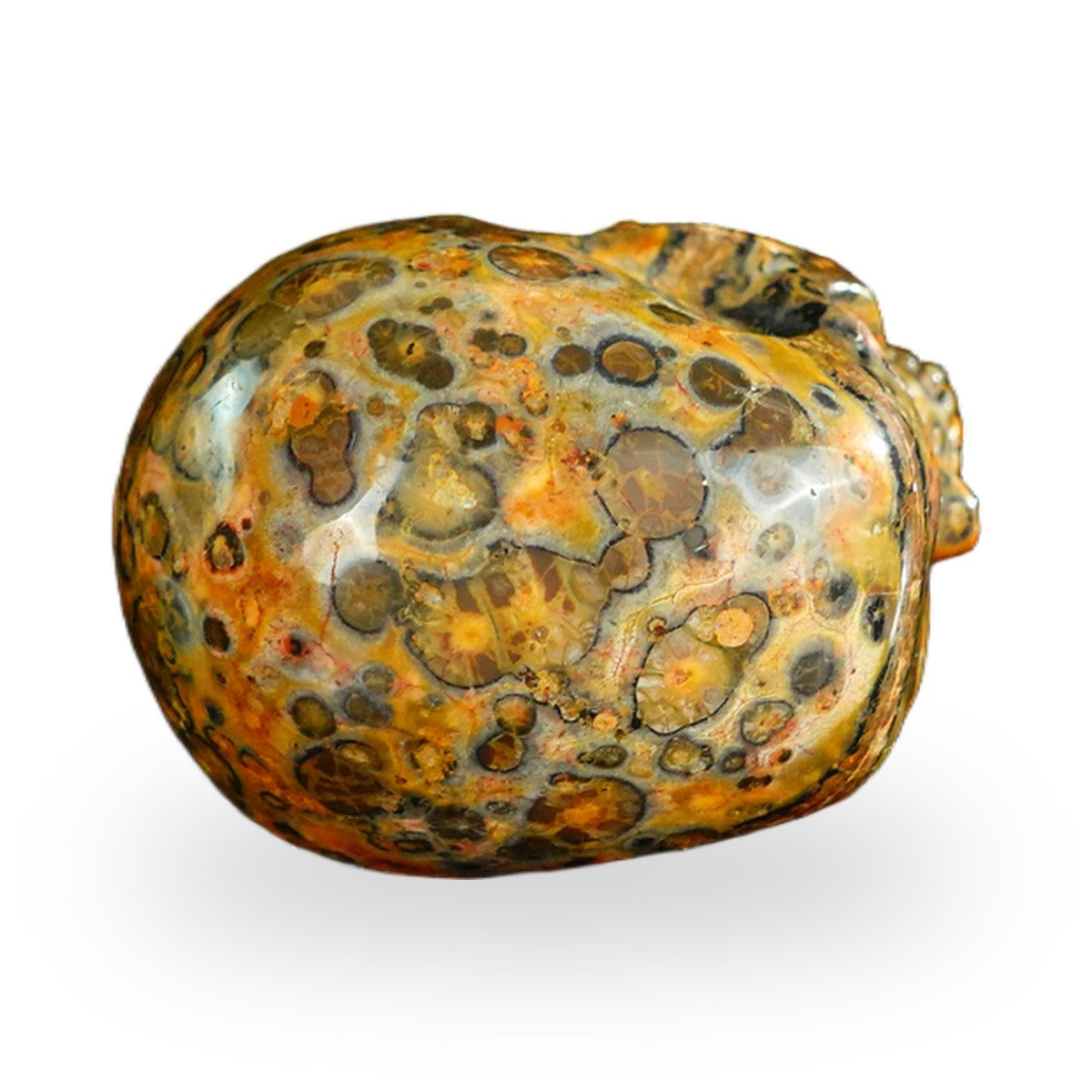 Red Leopard Skin Jasper crystal skull 2.2" SKH20LS09 photo 7