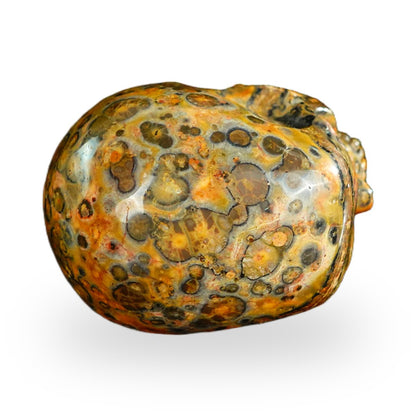 Red Leopard Skin Jasper crystal skull 2.2" SKH20LS09 photo 7
