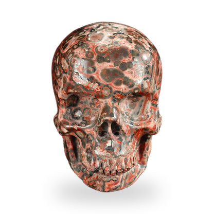 Red Leopard Skin Jasper crystal skull 2.2" SKH20LS10 photo 1