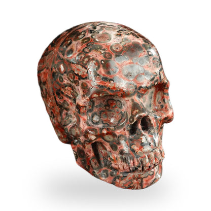 Red Leopard Skin Jasper crystal skull 2.2" SKH20LS10 photo 2