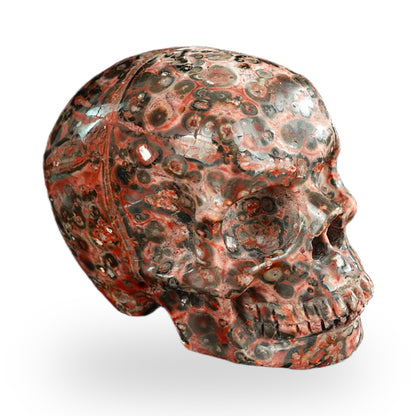 Red Leopard Skin Jasper crystal skull 2.2" SKH20LS10 photo 3