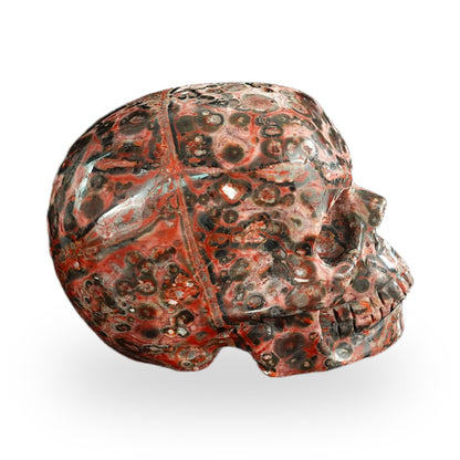 Red Leopard Skin Jasper crystal skull 2.2" SKH20LS10 photo 4