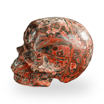 Red Leopard Skin Jasper crystal skull 2.2" SKH20LS10 photo 6