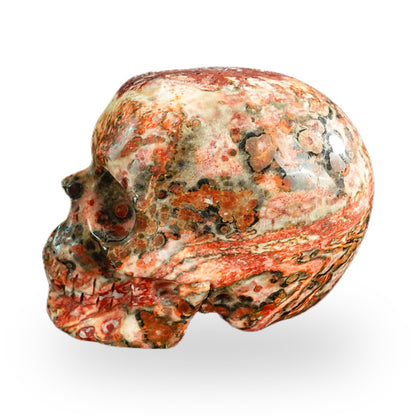 Red Leopard Skin Jasper crystal skull 2.2" SKH20LS11 photo 5