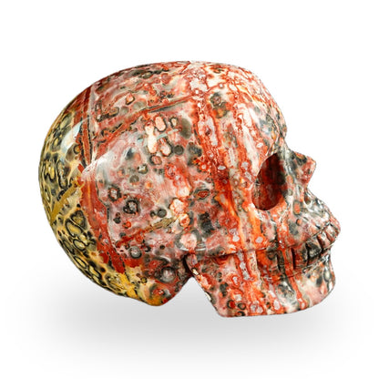 Red Leopard Skin Jasper crystal skull 2.2" SKH20LS12 photo 3