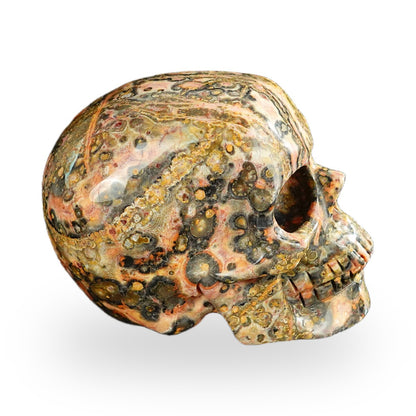 Red Leopard Skin Jasper crystal skull 2.2" SKH20LS13 photo 5