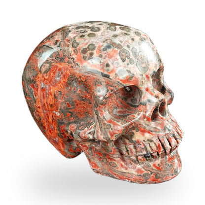 Red Leopard Skin Jasper crystal skull 2.2" SKH20LS14 photo 3