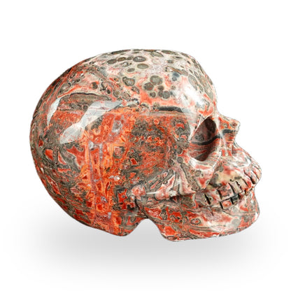 Red Leopard Skin Jasper crystal skull 2.2" SKH20LS14 photo 4