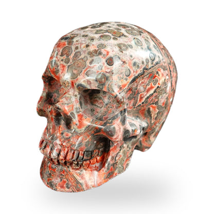 Red Leopard Skin Jasper crystal skull 2.2" SKH20LS14 photo 7