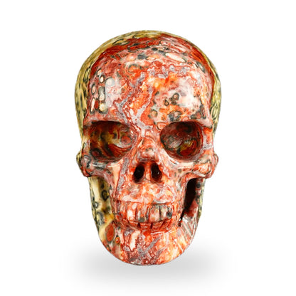 Red Leopard Skin Jasper crystal skull 2.2" SKH20LS15 photo 1