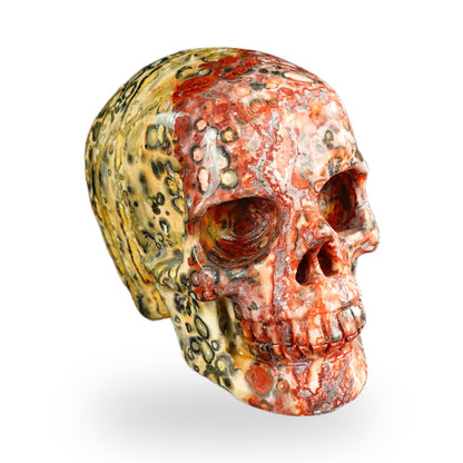 Red Leopard Skin Jasper crystal skull 2.2" SKH20LS15 photo 2