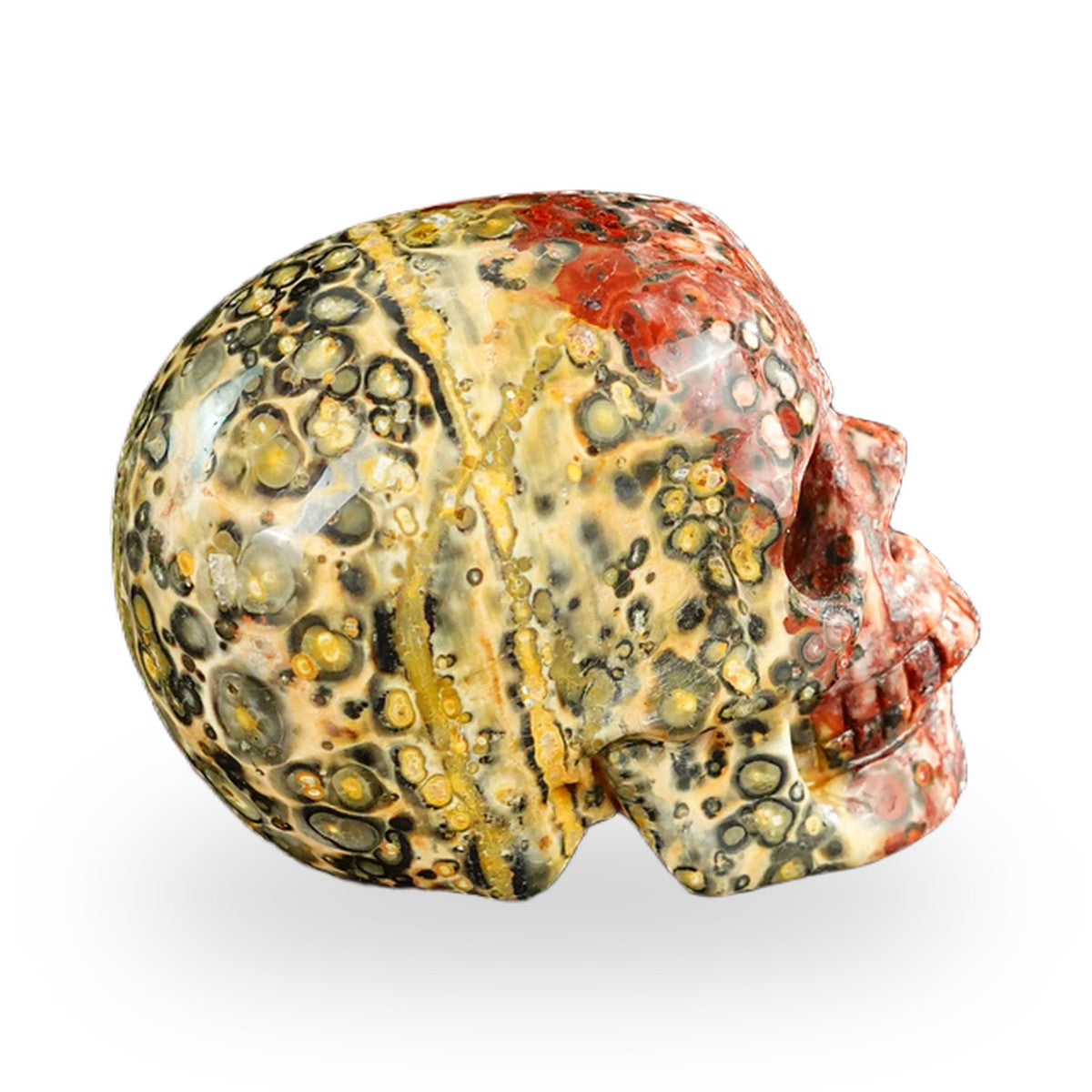 Red Leopard Skin Jasper crystal skull 2.2" SKH20LS15 photo 4